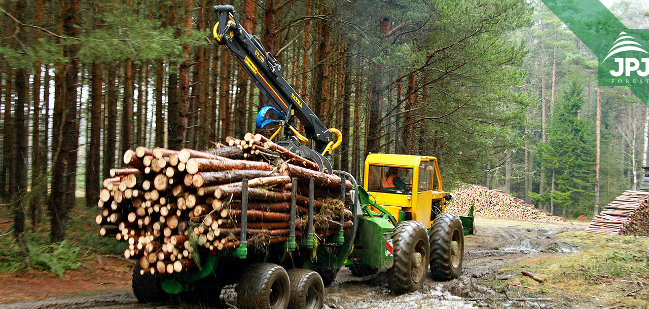 Súčasná lesnícka ťažba a približovanie dreva