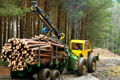 Súčasná lesnícka ťažba a približovanie dreva