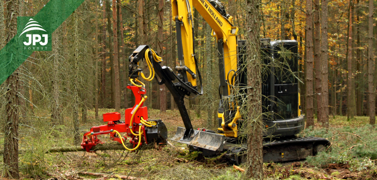 Lesné hospodárstvo – ťažba dreva
