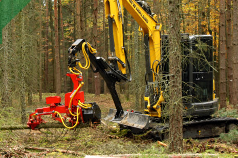 Lesné hospodárstvo – ťažba dreva